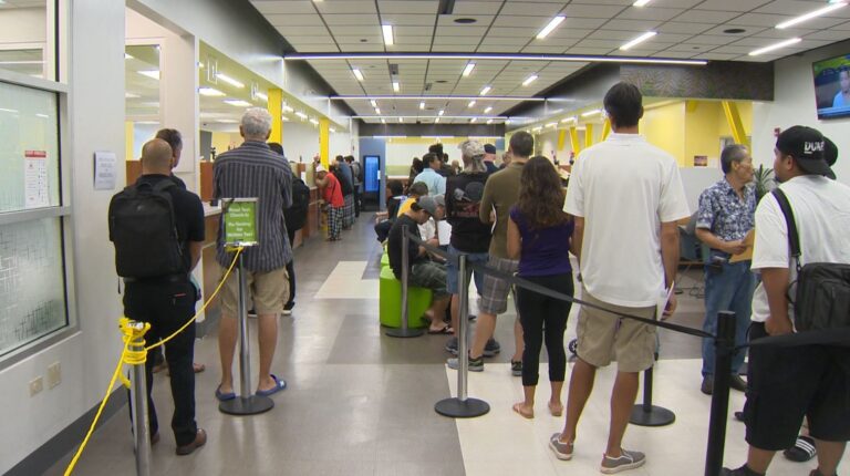 Honolulu DMV switches to paper printouts for temporary driver’s licenses, IDs