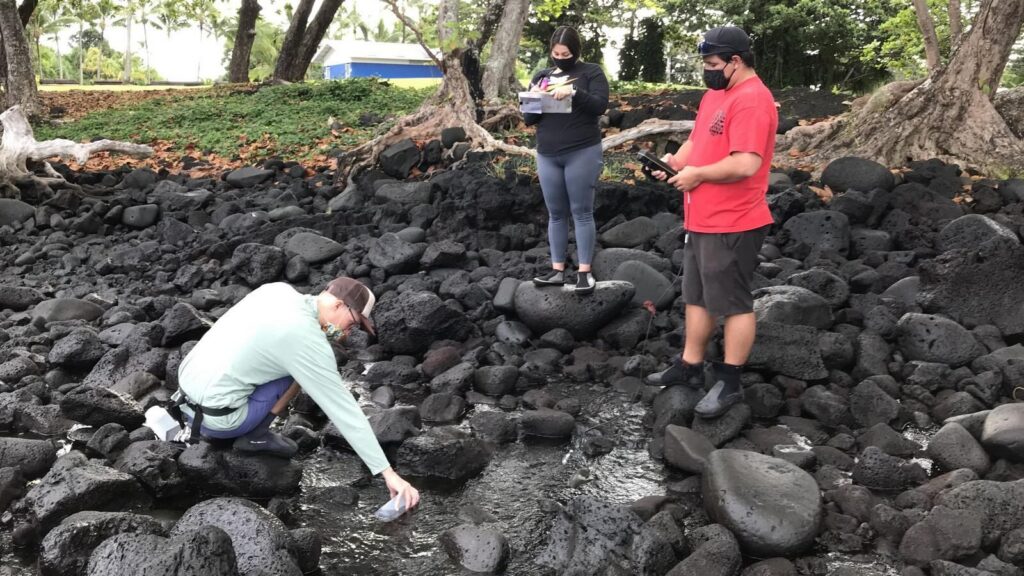 UH Hilo study finds sewage pollution along Hilo coastline