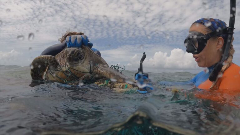 Papahanaumokuakea debris crews wrap 5-year cleanup effort