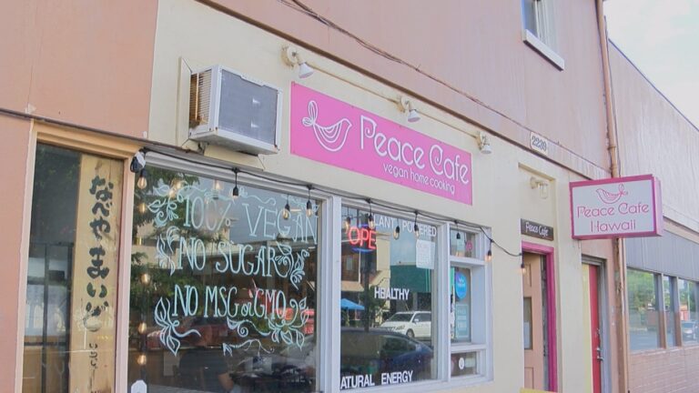 Storm-damaged Oahu eatery struggling to keep its doors open