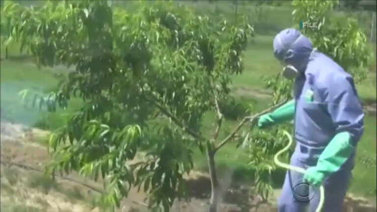 Hawaii receives nearly $400k federal grant for pesticide enforcement