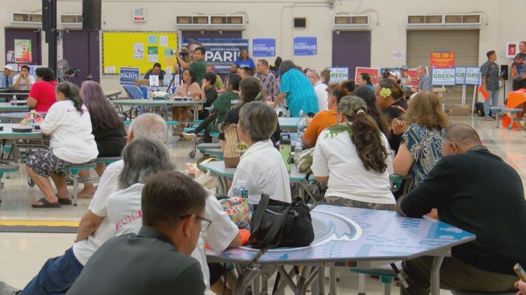 Hawaii Democrats rally on westside as Election Day approaches