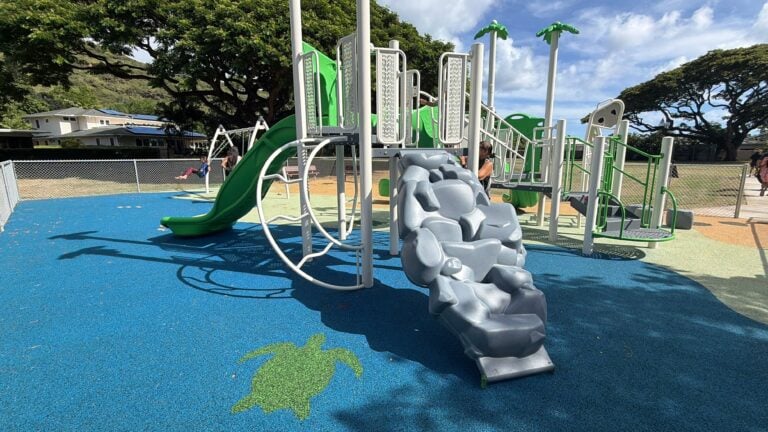 New playground opens at Nehu Neighborhood Park